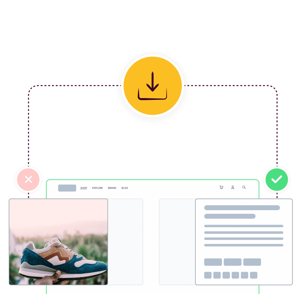 Import Your Database, Files, Or Everything At Once