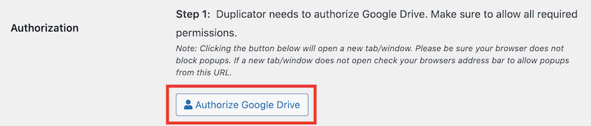 Authorize Google Drive