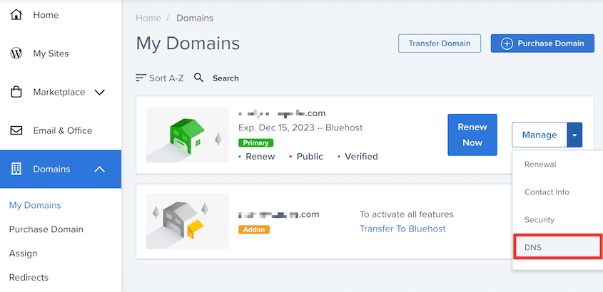 Bluehost DNS settings