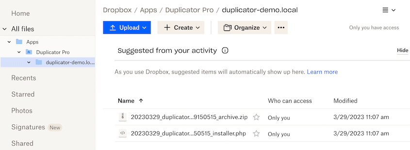 Dropbox Duplicator backups