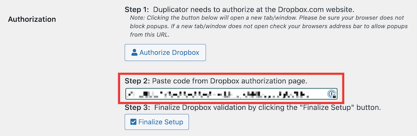 Paste Dropbox authorization code