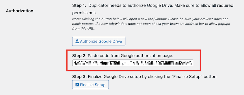 Paste Google authorization code