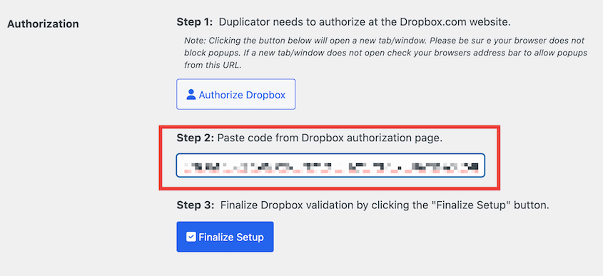 Paste Dropbox authorization code