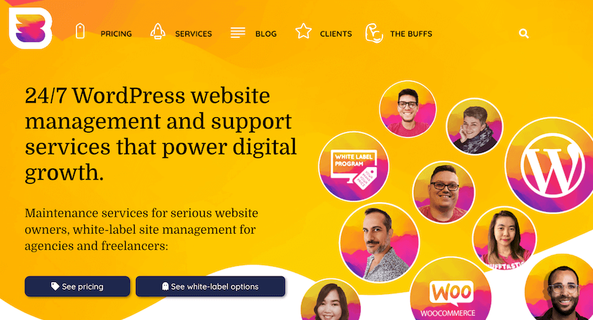 WP Buffs WordPress maintenance service