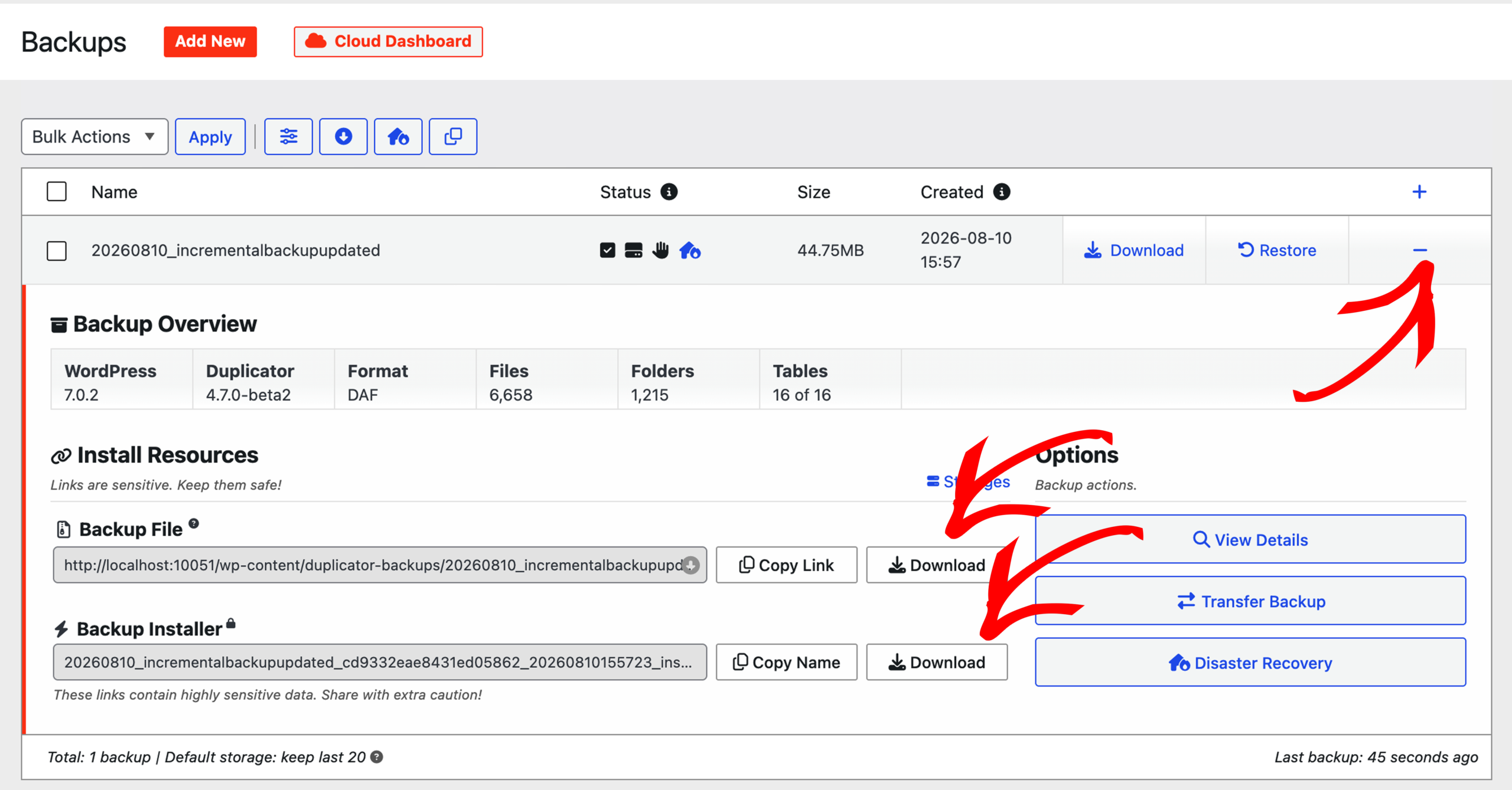 Dashboard for backups: shows a Backup Overview with a 'Download', 'Copy Link', 'Transfer Backup' and 'Disaster Recovery' actions highlighted on the right side of the UI.