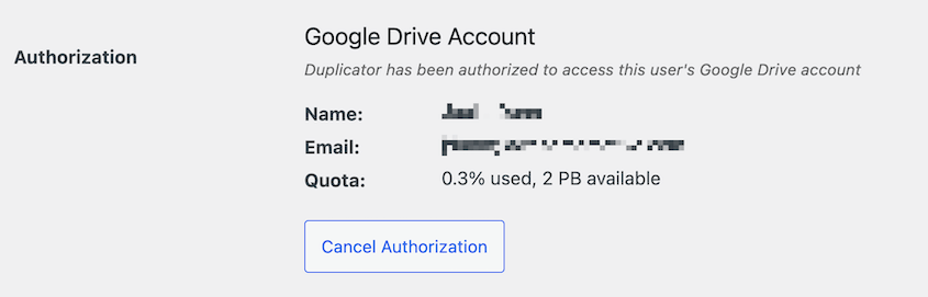 Authorized Google Drive storage