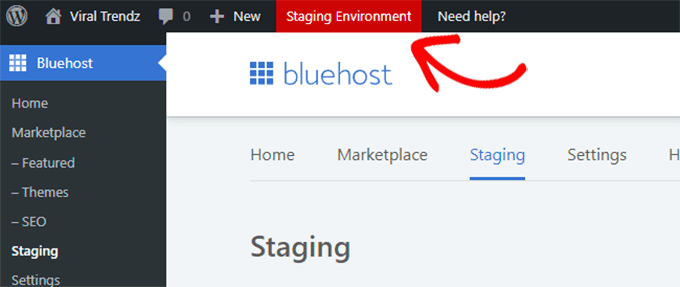 Bluehost staging dashboard