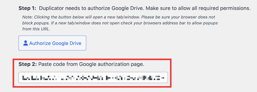 Paste Google Drive authorization code