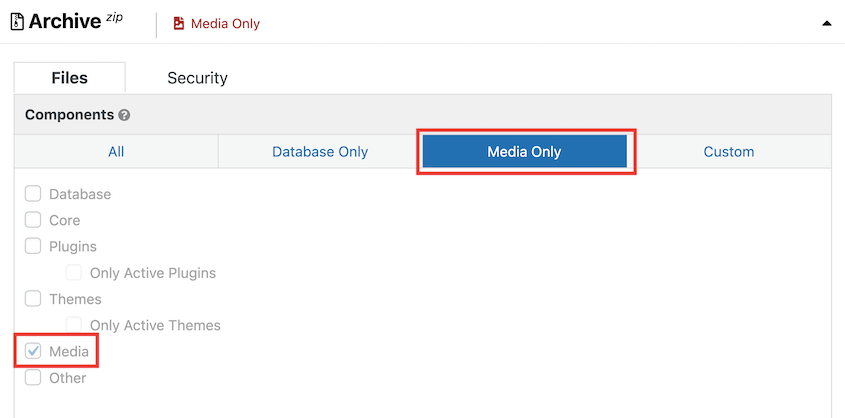 Duplicator media backup