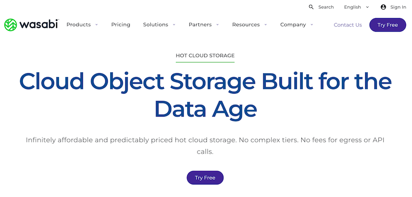 Wasabi cloud storage