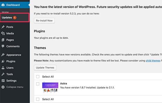 WordPress updates page