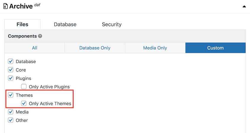 Back up active themes with Duplicator