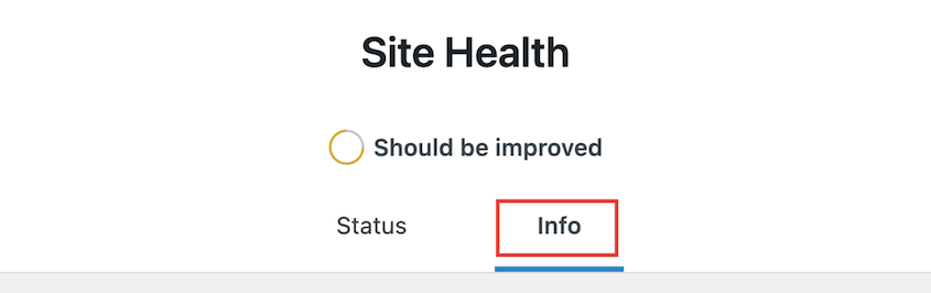 WordPress Site Health info