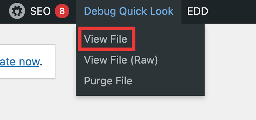 View WP Debugging file