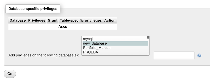 Database specific privileges