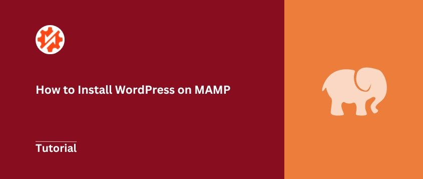 How to install WordPress on MAMP