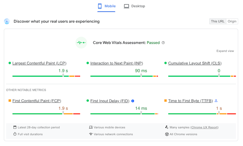 Google PageSpeed Insights mobile view