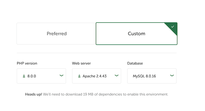 LocalWP environment preferences