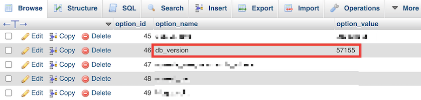 Database version option value