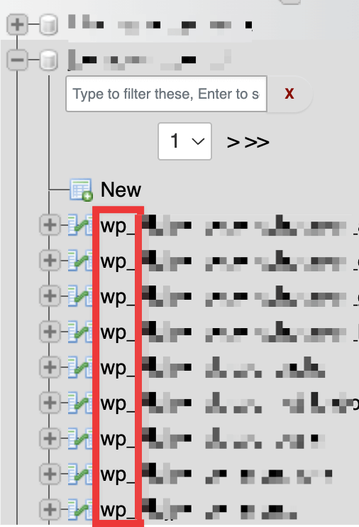 WP database prefix