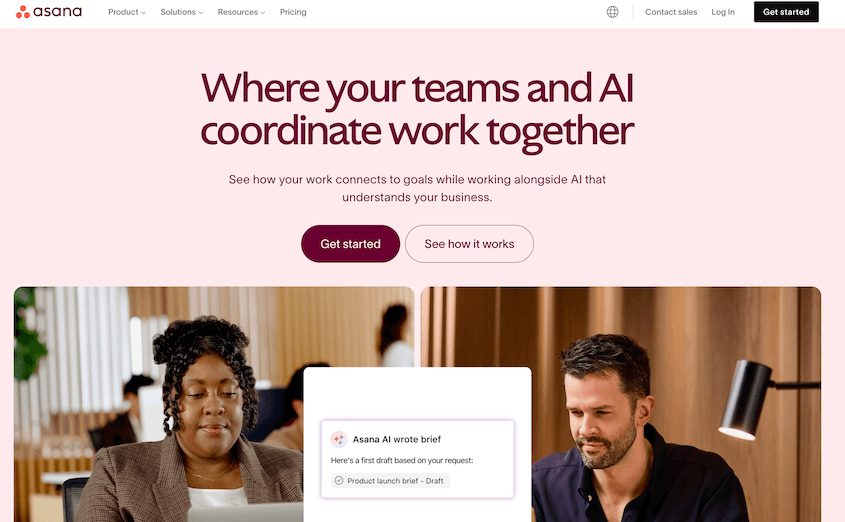 Asana web project management tool