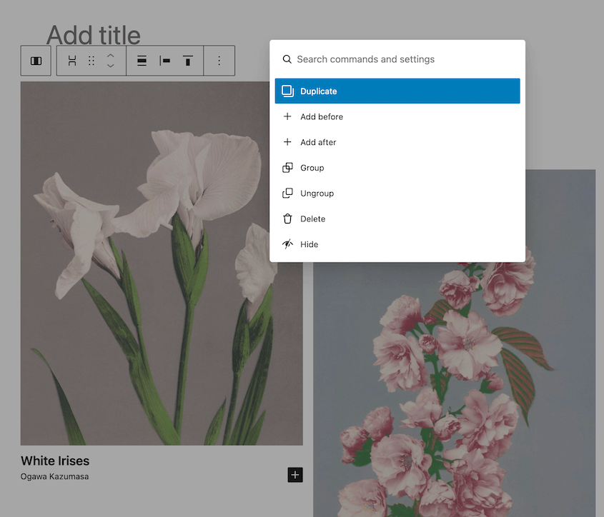 Command-Palette - Duplicator Command palette