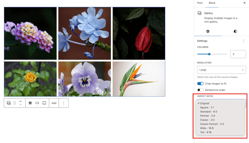 Gallery-Aspect-Ratio - Duplicator Gallery aspect ratio