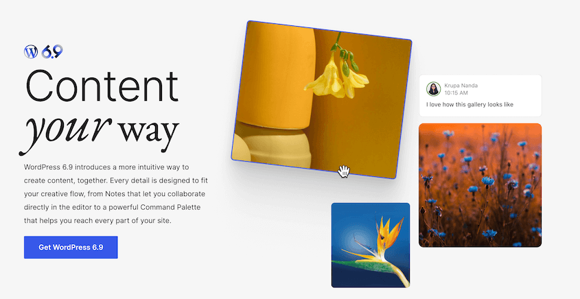 WordPress-6-9-Update - Duplicator WordPress 6.9 update