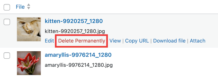 Delete WordPress media file