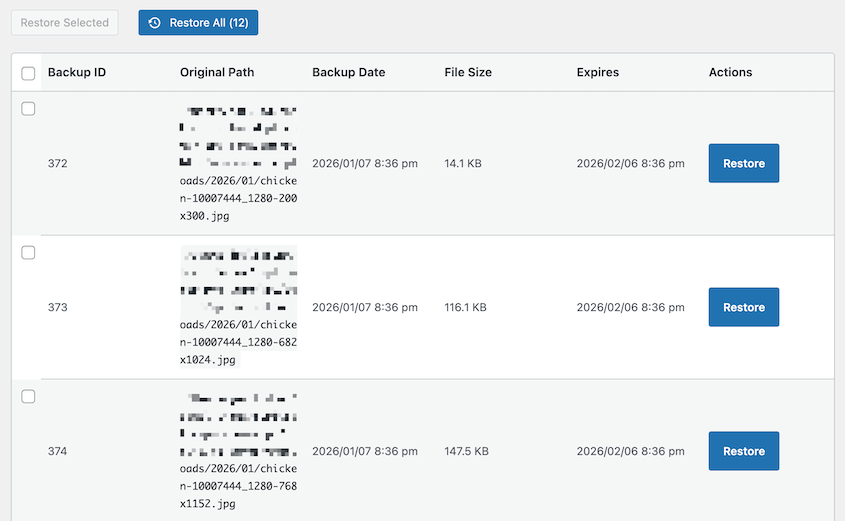 Restore image variations