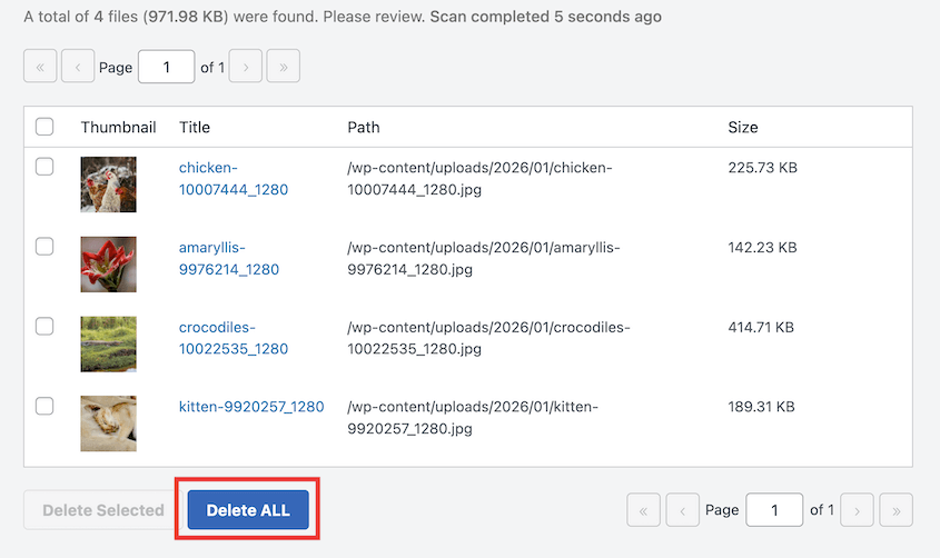 Delete unused media files with Search & Replace Everything