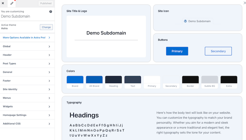 Astra customizer options