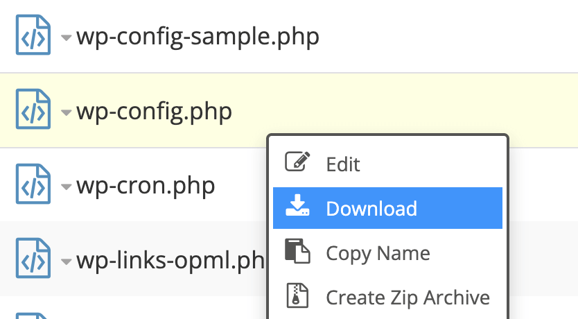 Download wp-config.php file with cPanel