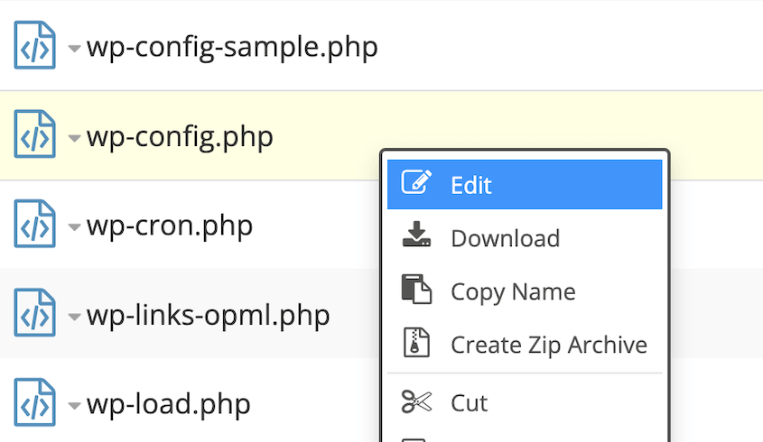 Download wp-config.php file with cPanel