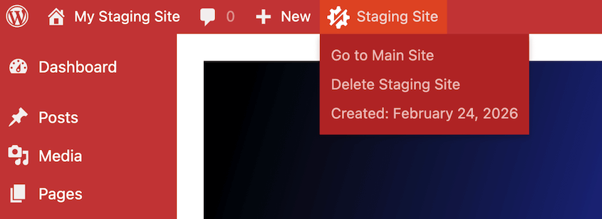 Duplicator staging site options