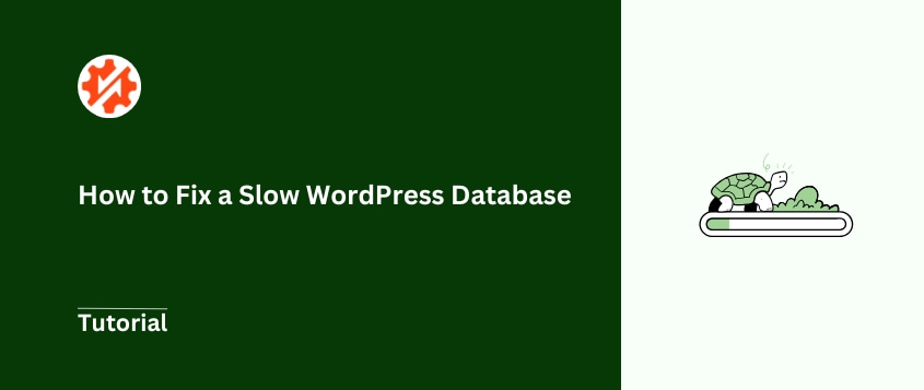 WordPress-Datenbank langsam