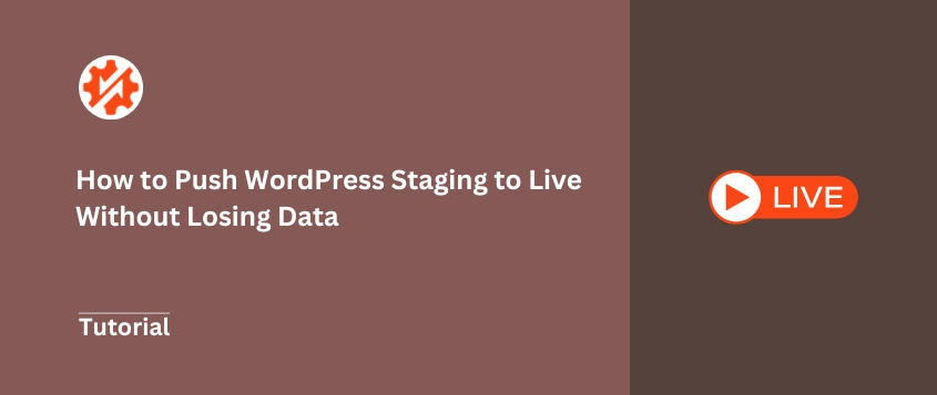 WordPress-Staging-Umgebung in Live-Umgebung pushen