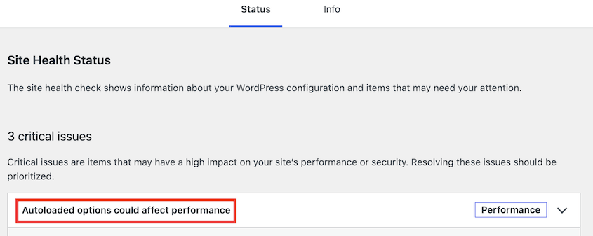 Site-Health-Autoload-Options - Duplicator Dati autoload di WordPress