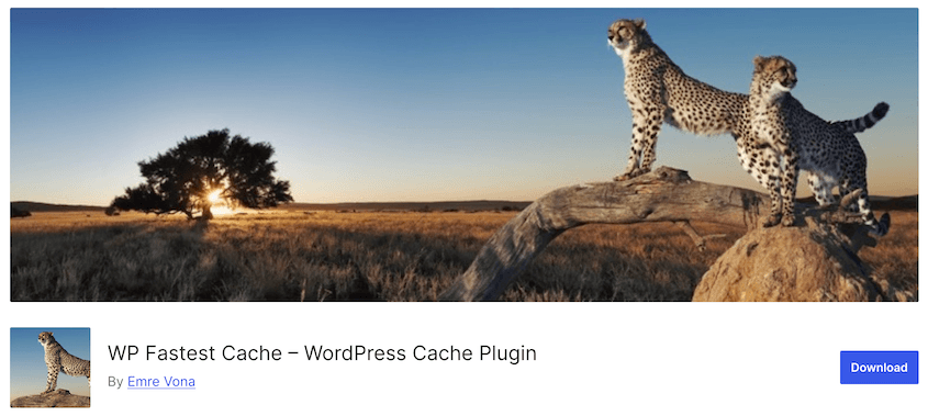 WP Fastest Cache