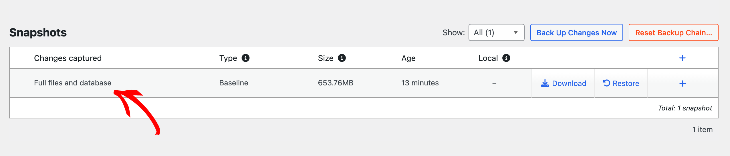 Snapshots panel showing one snapshot named 'Full files and database', Baseline, 653.76 MB, 13 minutes old, with Download and Restore actions.